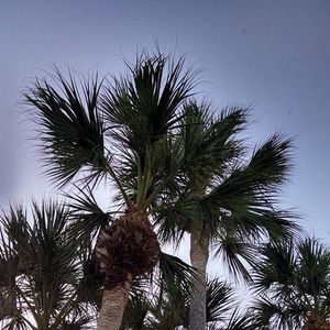 Meet your Posher, Walter